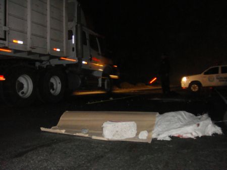 accidente-panamericana2