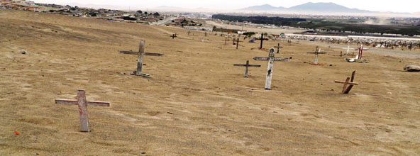 informe-sicarios-arenales-san-pedro-portada