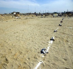 regresaron-invasores-terrenos-marina-1