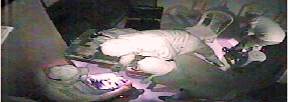 videos-oconita-portada